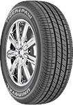 bfgoodrich-tire-g-force.png